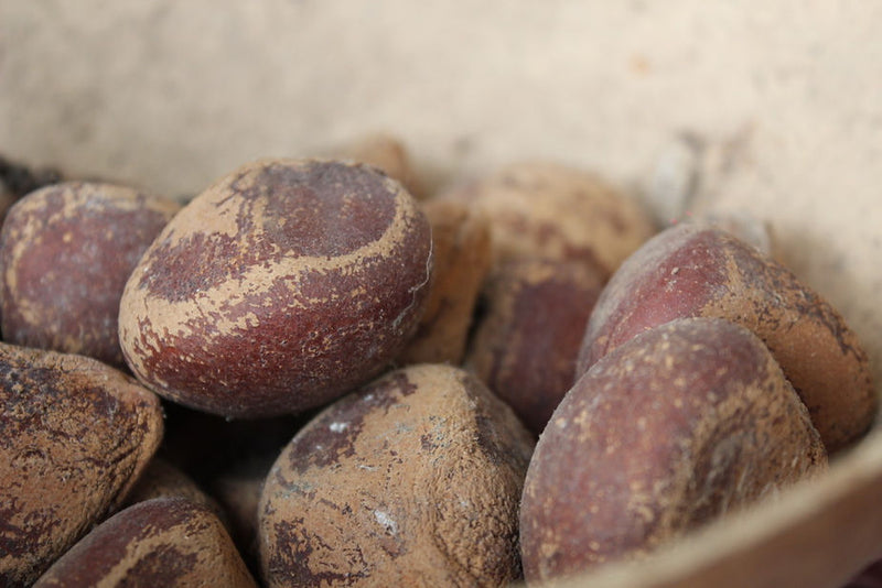 Have you been waiting for Carapa oil all along?